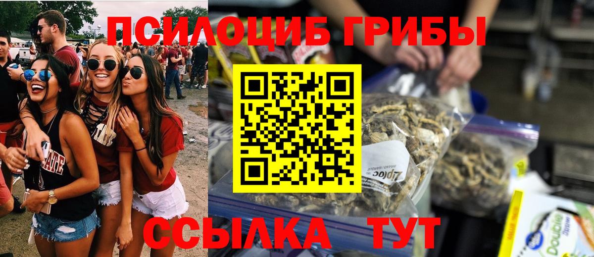 Галлюциногенные грибы Psilocybine cubensis  Вход с VPN  Галлюциногенные грибы мухоморы  Серов 